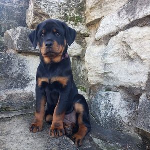 Meet your Posher, Todd